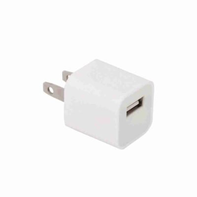 Wall Charger - White 2 PIN 5W Lightning (Loose)
